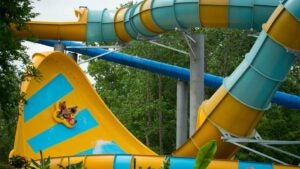 aerial view of people aboard Colossal Curl with trees in background in Williamsburg, Virginia, USA